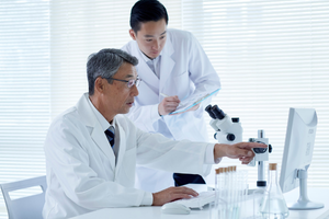 Doutorado no Brasil: O Guia Completo sobre Cursos, Bolsas e Oportunidades