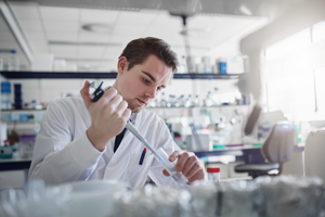 Como Escolher o Melhor Doutorado: Áreas de Pesquisa e Programas Recomendados